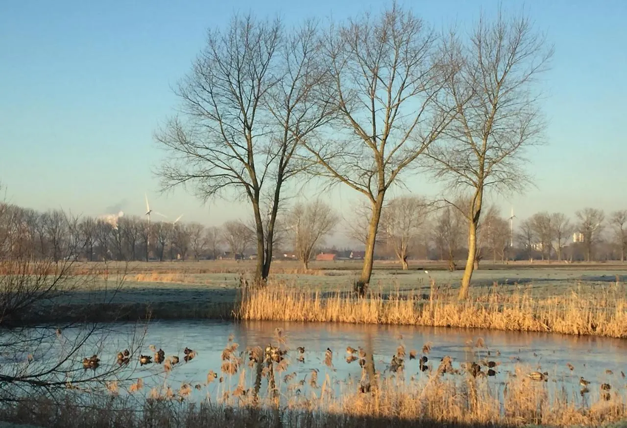Logies De Meerkoet 布鲁日 0*,